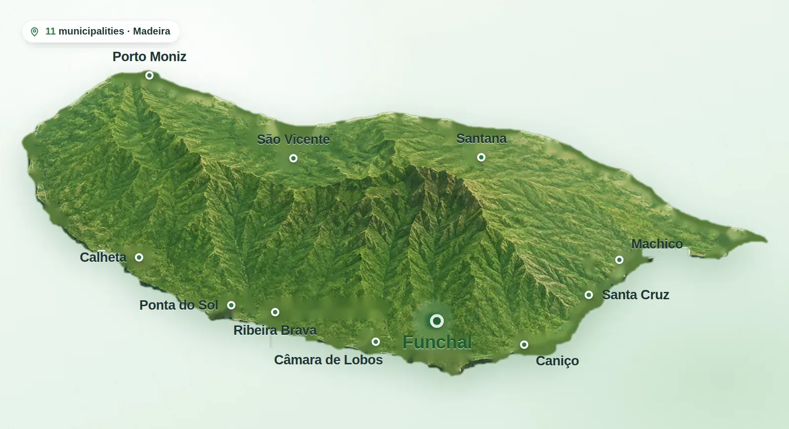 Map of Madeira showing the 11 municipalities covered by HomeFix: Funchal, Câmara de Lobos, Machico, Santa Cruz, Caniço, Santana, Ribeira Brava, Ponta do Sol, Calheta, São Vicente and Porto Moniz
